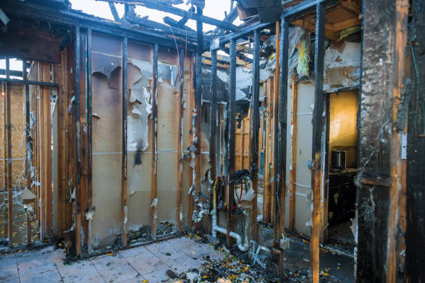 Professional Odor Removal technician working in Junction City, OR
